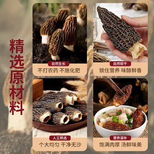 云南头茬厚肉羊肚菌新鲜干货剪柄8-10cm大个头500g特级煲汤食材
