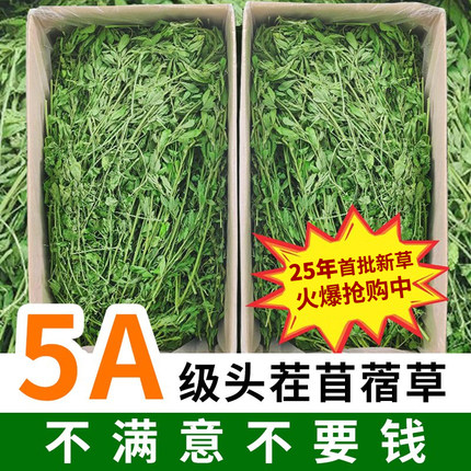 苜蓿草兔子粮草紫花干草幼兔食用豚鼠吃的粮食苜宿草专用兔粮饲料