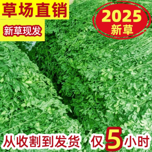 粮食苜宿草专用兔粮饲料 苜蓿草兔子粮草紫花干草幼兔食用豚鼠吃