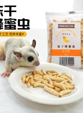 蜜袋鼯零食仓鼠金丝熊粮食冻干蜂蜜虫干松鼠花枝鼠食物营养零食