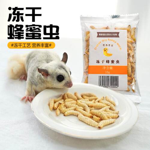 蜜袋鼯零食仓鼠金丝熊粮食冻干蜂蜜虫干松鼠花枝鼠食物营养零食