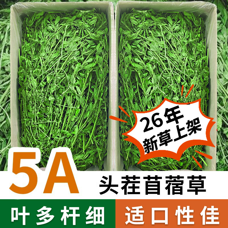 苜蓿草兔子粮草紫花干草幼兔食用豚鼠吃的粮食苜宿草专用兔粮饲料