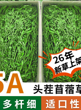 26年兔草紫花苜蓿草龙猫豚鼠牧草