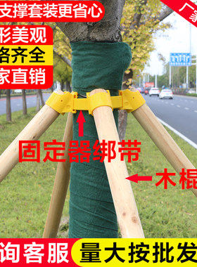 树木支撑固定器套装支撑架杆杉木松木杨木棍园林绿化稳定支架防风