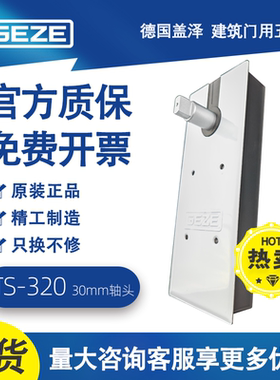 GEZE德国盖泽地弹簧TS320配加高轴30mm玻璃门有框地簧弹定位100KG