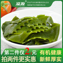 无沙无泥厚实有嚼劲 福建溢源500g有机海带花边盐渍海带头新鲜袋装