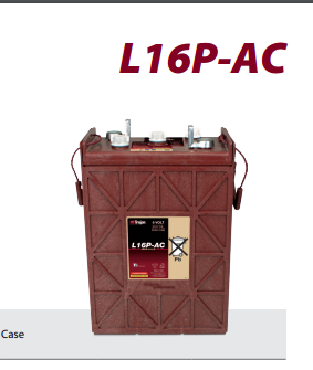 美国TROJAN邱健L16P-AC电瓶进口蓄电池适用于坦能力奇凯驰原装|ruв категории основы строительных материалов, оборудование зоны, другие - от Buy2taobao.com для оказания профессиональной услуги покупки агента Taobao