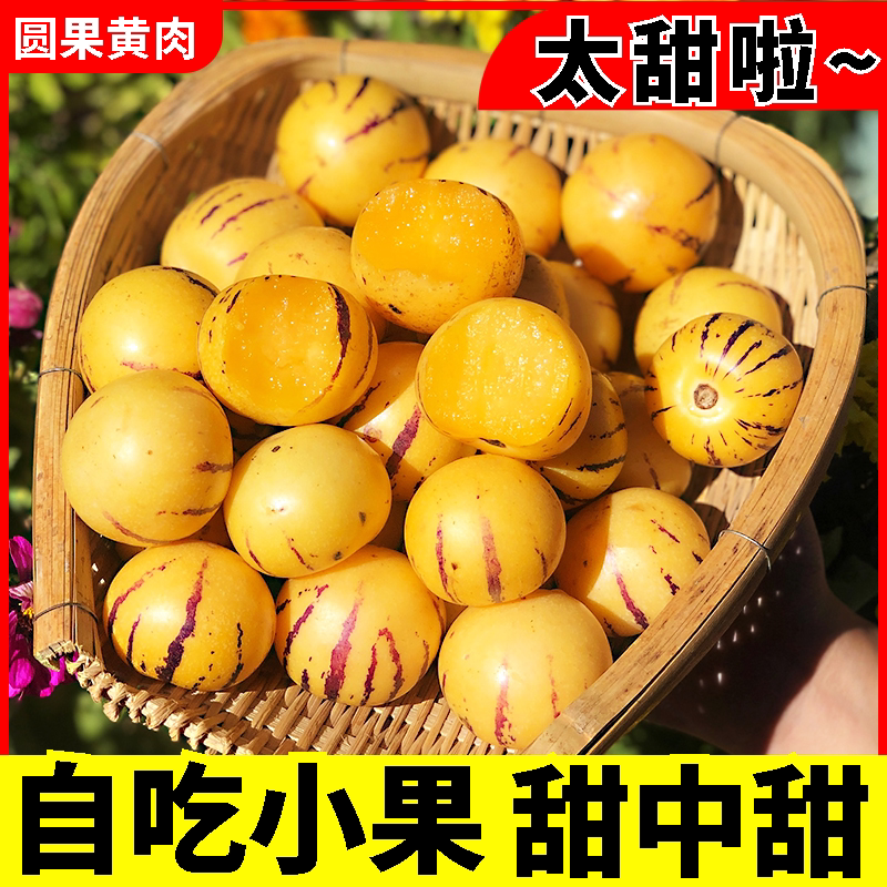树上熟人参果蜜甜 圆果黄肉当季新鲜水果风化石林人生中果包邮