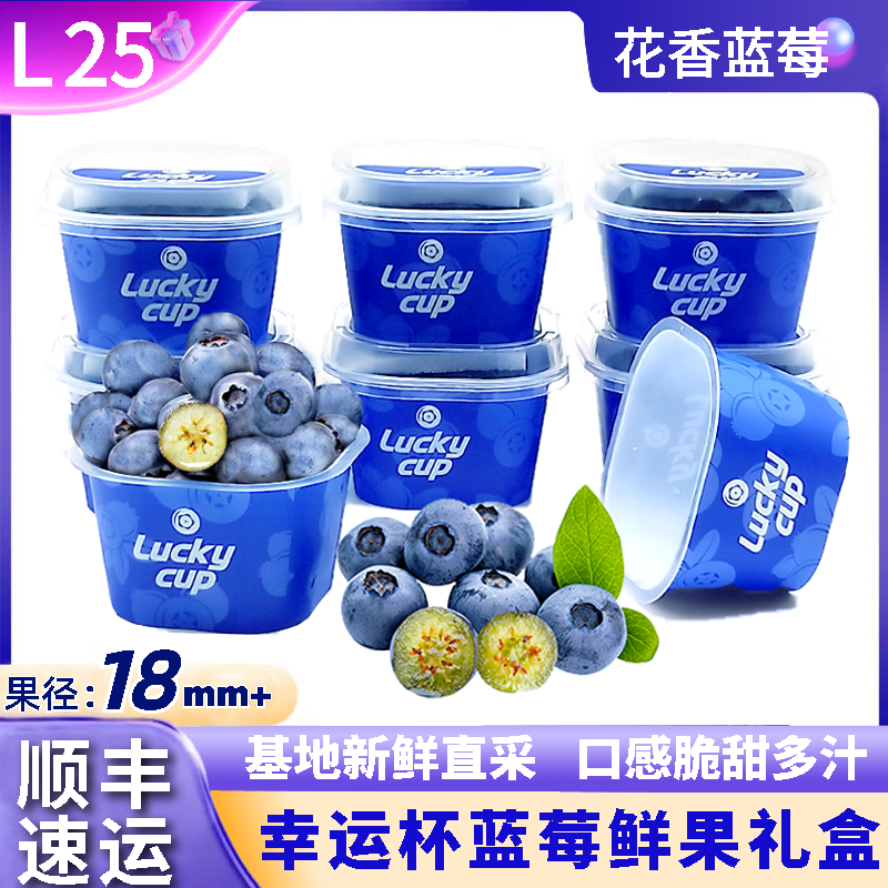 【超甜脆】幸运蓝莓礼盒luckcup 花香蓝莓杯礼盒鲜果云南小懒宝宝,水产肉类/新鲜蔬果/熟食,蓝莓,淘宝优惠券,粉丝福利购,淘宝优惠卷