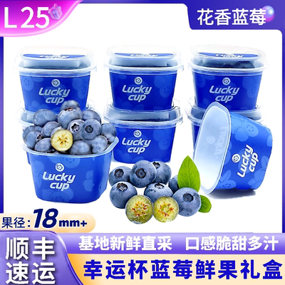 Luckycup蓝莓礼盒小蓝杯云南蓝莓