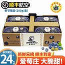 特大果皇冠枝冠稼沃爱梅庄同款 爱莓庄蓝莓 云南蓝莓 大蓝莓