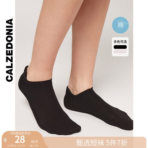 纯色男士袜子CALZEDONIA简约