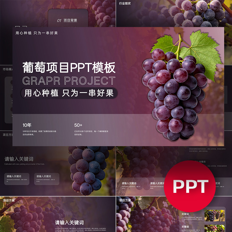 葡萄PPT葡萄项目公司企业介绍ppt模板汇报答辩发布会路演高级感