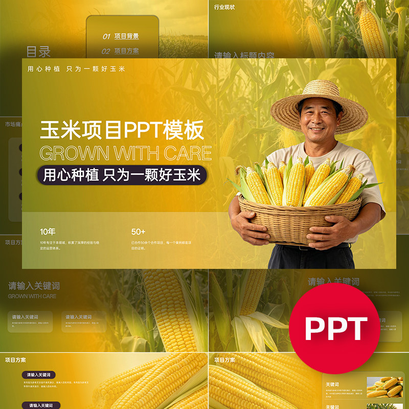 玉米PPT玉米项目公司企业介绍ppt模板农业种植汇报答辩路演课件