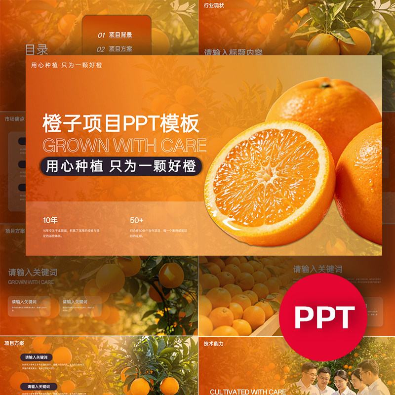橙子PPT橙子项目公司企业介绍ppt模板汇报答辩农业种植路演高级感