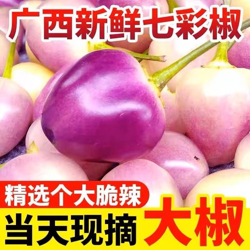 七彩辣椒新鲜五彩椒可做泡椒