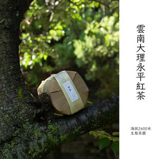 云南大理永平县红茶高山生态茶园晒红