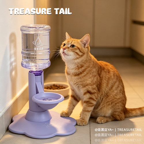 猫狗不插电不湿嘴饮水器