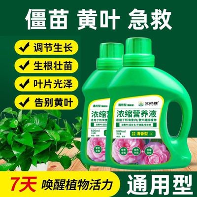 植物营养液通用型绿植僵苗黄叶急救土培水培盆栽花卉花肥液体肥料