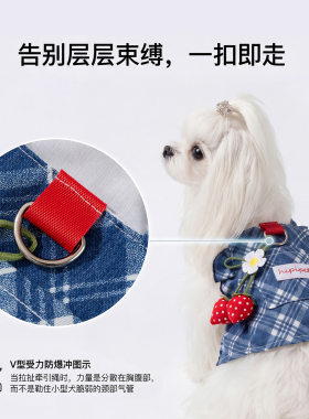 春夏季狗狗经典港风牛仔