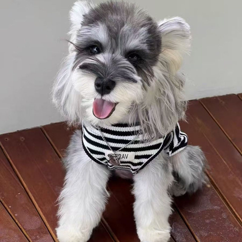 宠物狗狗衣服春夏季薄款