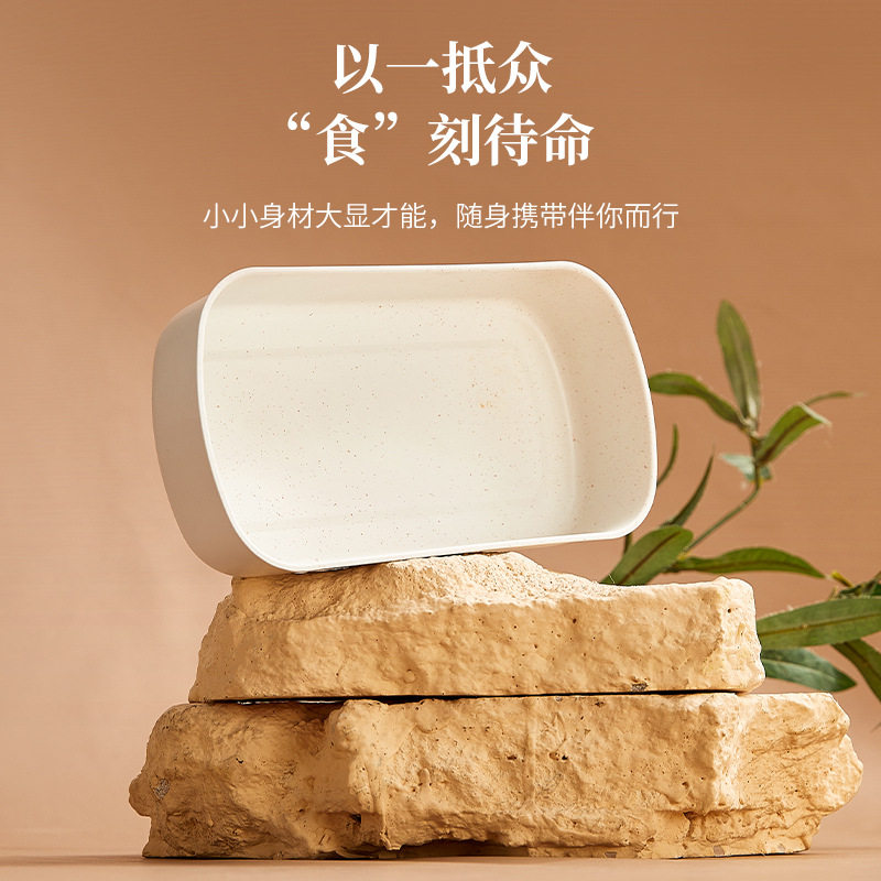 电热饭盒免注水可插电保
