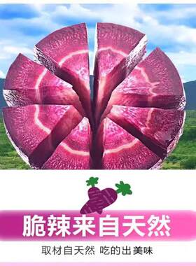 贵州紫皮脆萝卜生吃凉拌