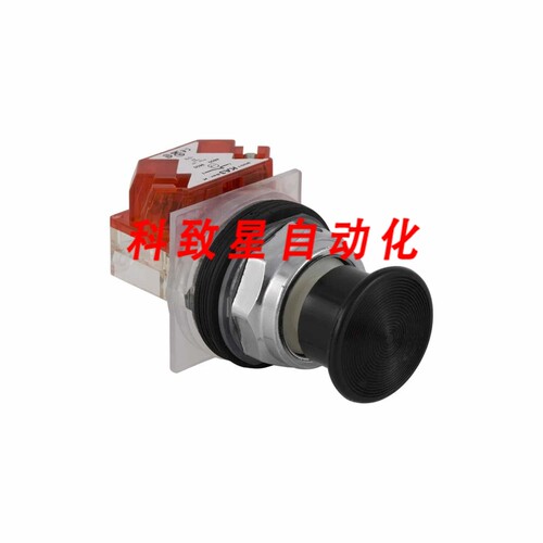 工业配件9001KR24BH13- SWITCH