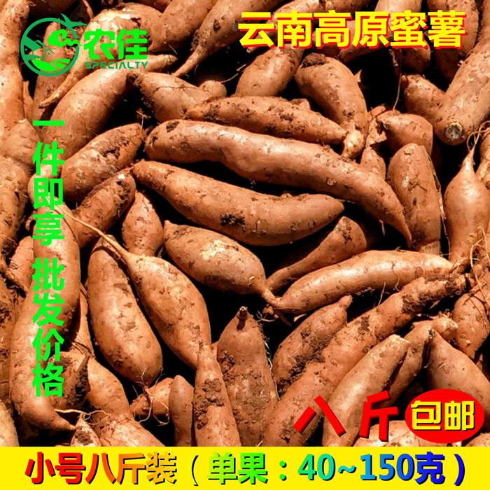 云南高原地瓜新鲜包邮黄金蜜薯