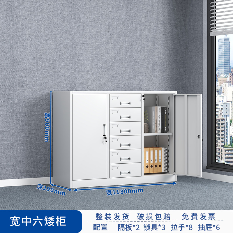 HC3 6办公文件柜铁皮矮柜财务资料档案柜落地带锁储物家用工具柜