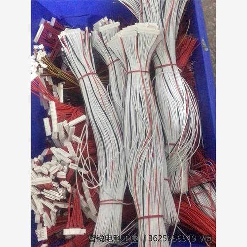 全新电动车嘉百达、蚂蚁