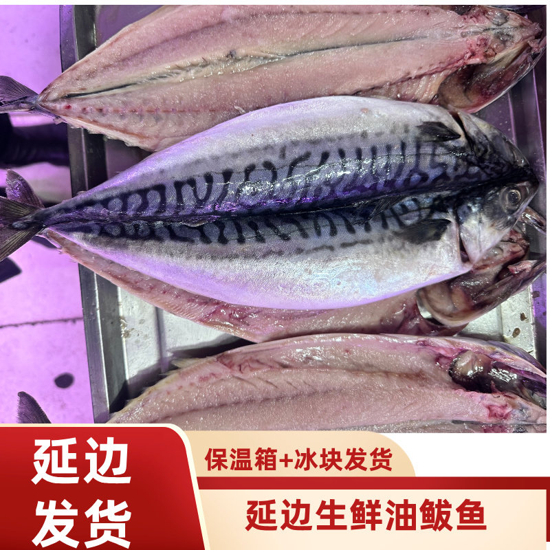 3条延边煎鲅鱼韩式腌制新鲜尖嘴油鲅鱼马鲛鱼延吉饭店同款鲅鱼,水产肉类/新鲜蔬果/熟食,鱼干,淘宝优惠券,粉丝福利购,淘宝优惠卷