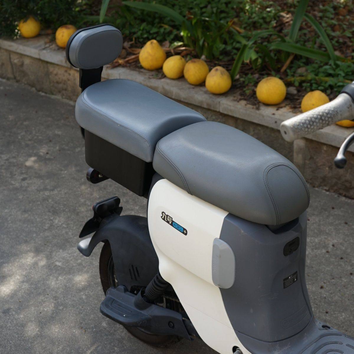 适用适用九号A+/A2z加厚加高后坐垫尾箱后备箱后坐垫持平坐垫改装