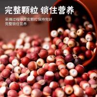 Fresh Zhaoqing coix seed dried goods, top-grade Chinese medicinal materials, raw coix seed, coix seed rice, chicken head rice, poria cocos, coix seed, roots, odorless thumbnail 4