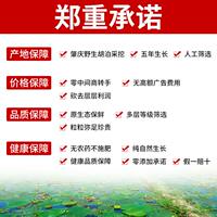 Fresh Zhaoqing coix seed dried goods, top-grade Chinese medicinal materials, raw coix seed, coix seed rice, chicken head rice, poria cocos, coix seed, roots, odorless thumbnail 7
