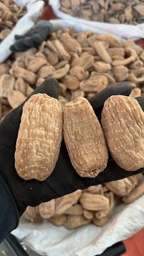 长白山  林下   天麻   干天麻  精选