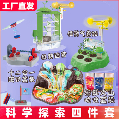儿童种植植物迷宫种植观察