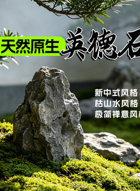 日式庭院枯山水青龙石假山摆件