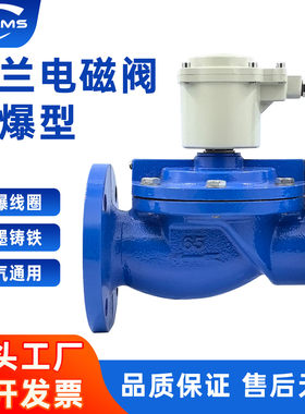 DF1铸铁防爆水用电磁阀24v220v