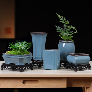 哥窑紫砂多肉绿植花盆简约有孔透气室内客厅虎须文竹菖蒲盆造景盆