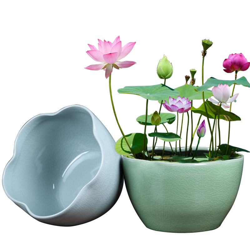 创意哥窑开片水仙花盆陶瓷复古无孔大号水培N植物盆栽铜钱草水养