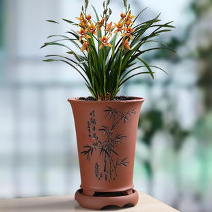 紫砂花盆陶瓷带托盘创意简约复古特大号家用阳台落地兰花君子兰盆