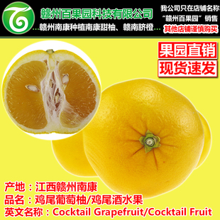 赣南西柚江西赣州百果园新鲜水果南康土特产稀柚柑橘鸡尾葡萄柚子
