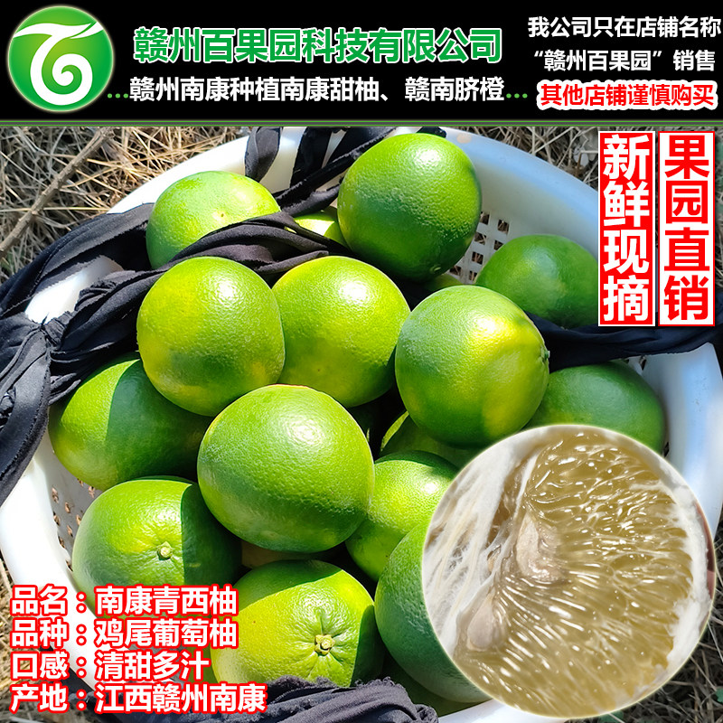 南康青西柚鸡尾葡萄柚清甜江西土特产赣南柚子赣州百果园新鲜水果