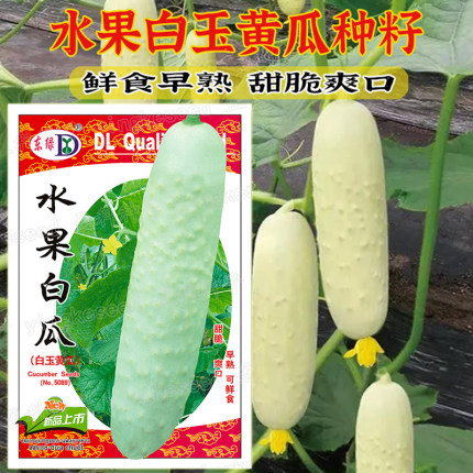 白玉黄瓜种子约30粒阳台可种盆栽绿植家庭蔬菜白黄瓜水果白瓜种籽