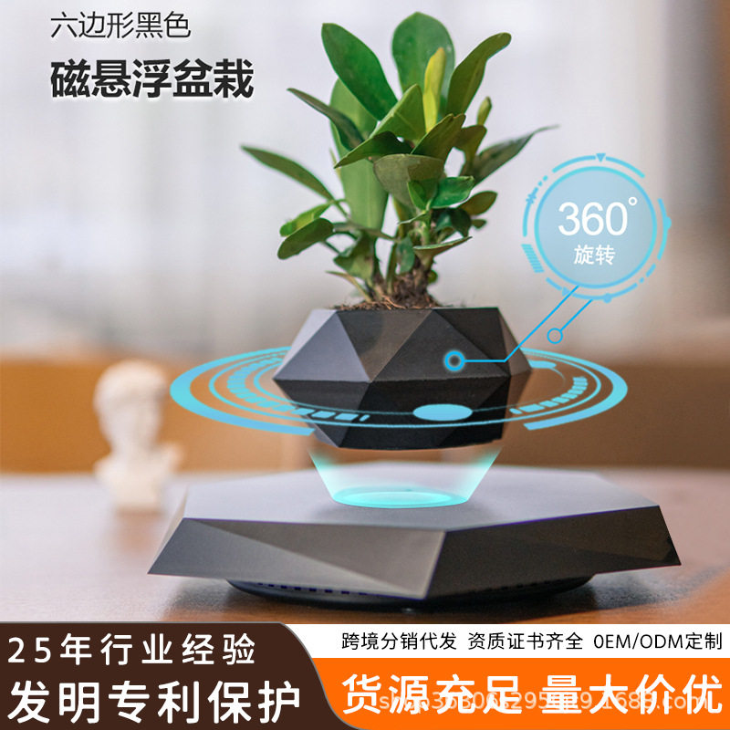 磁悬浮盆栽创意盆景工艺品礼品礼物新奇特家居摆件源头工厂
