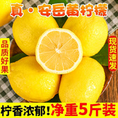 安岳黄柠檬带箱6斤柠檬水果新鲜一级果皮薄5青香水鲜柠檬批发 免邮