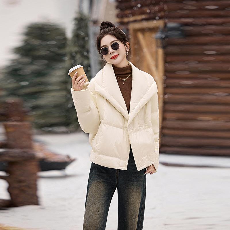女式羽绒冬新款女装韩版加厚翻领保尚暖9时0服白鸭HE99827-绒外套