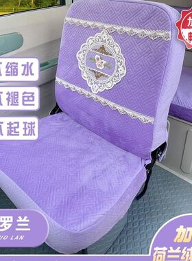 盛昊柠檬A9F3C3G3C1海宝凤凰金彭雪宝宗申耐磨耐脏电动三轮车座套