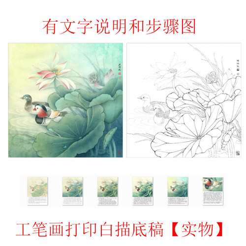 工笔画底稿李晓明斗方荷花鸳鸯